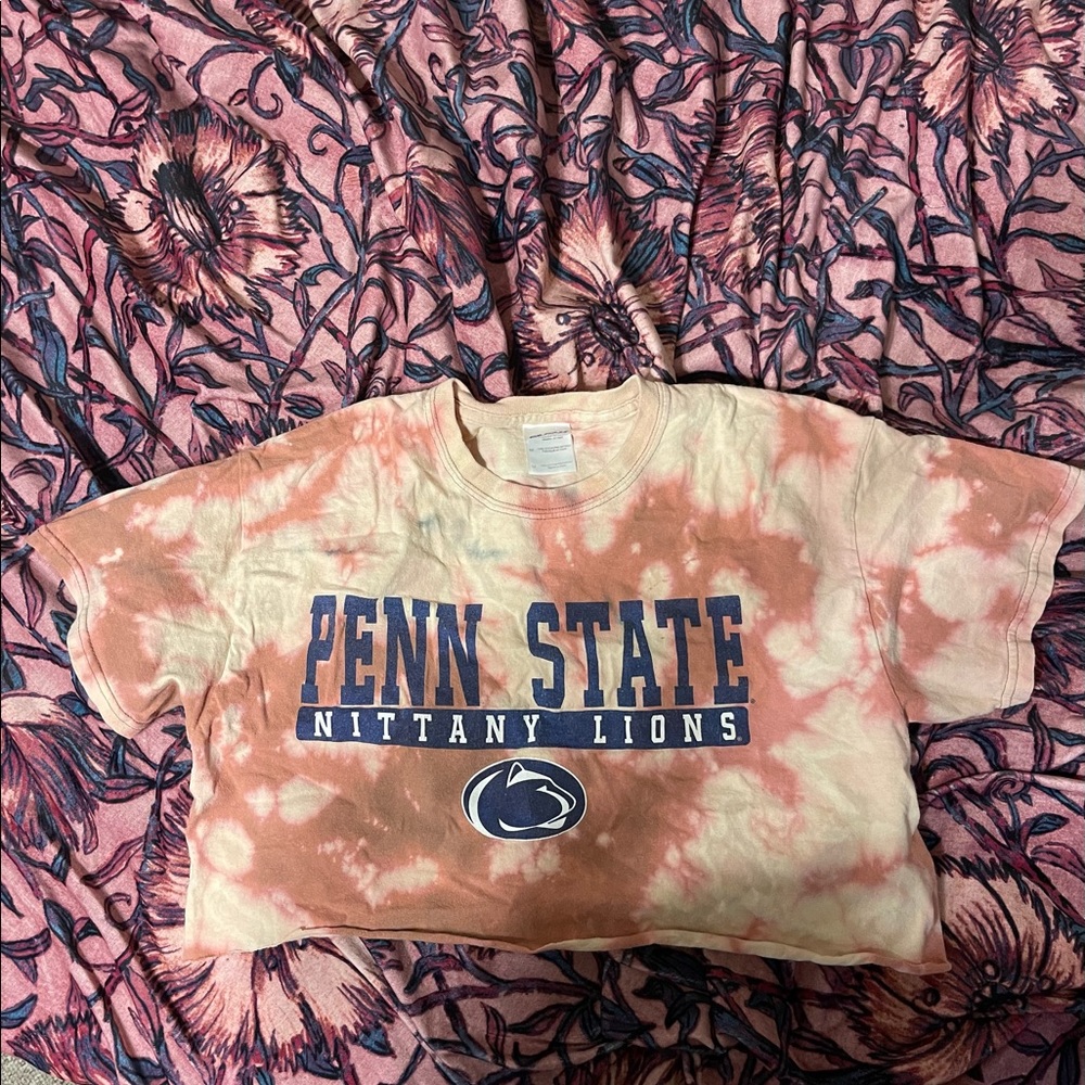 Penn state / psu crop top